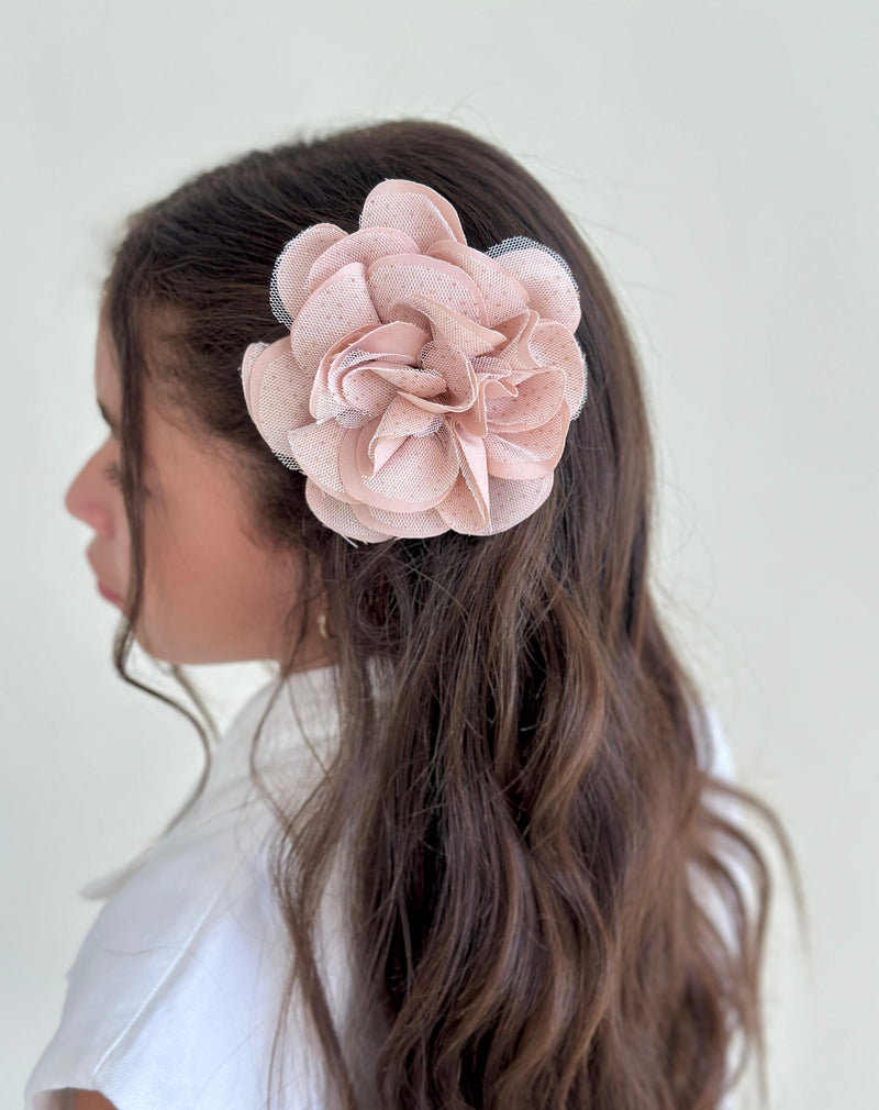 Pinzas Shonguitos - Arena